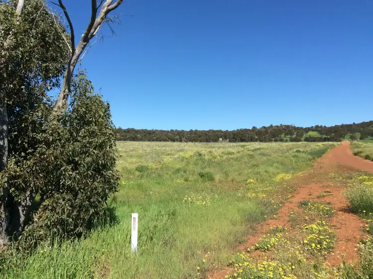 Fifth view of Homely land listing, Lot 305 Waldeck West Road, Wannamal WA 6505