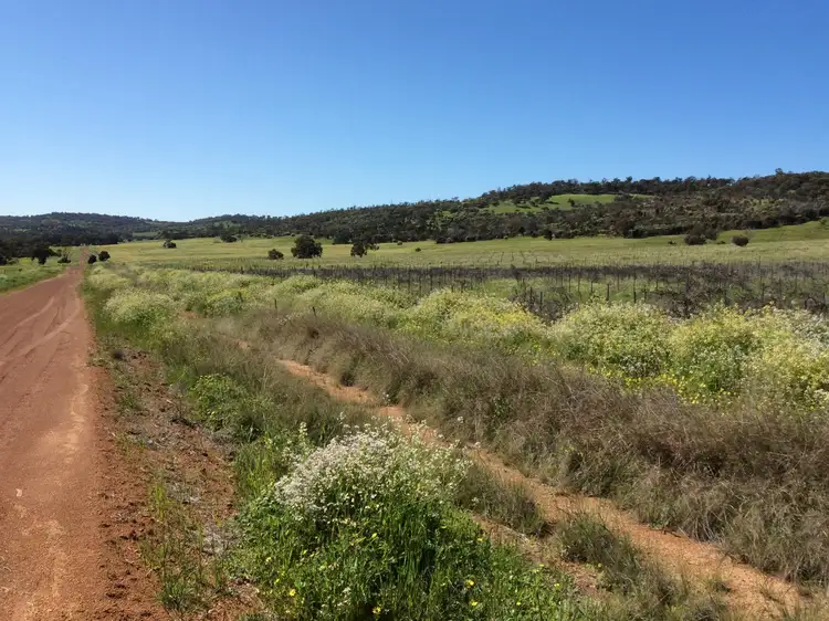 Seventh view of Homely land listing, Lot 305 Waldeck West Road, Wannamal WA 6505