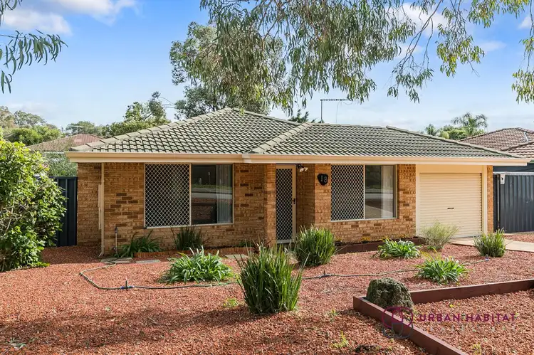 18 Whitebread Way, Leda WA 6170