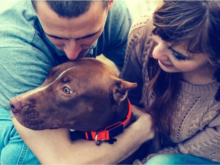 Third view of Homely land listing, Lot 759, Jobson Loop, Brookdale WA 6112