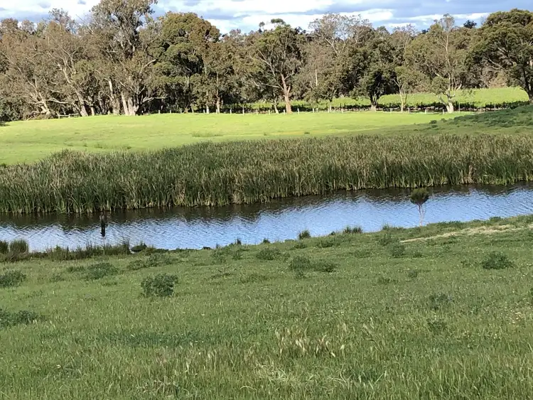 Fourth view of Homely rural property listing, Lot 111, Mallokup Road, Capel WA 6271
