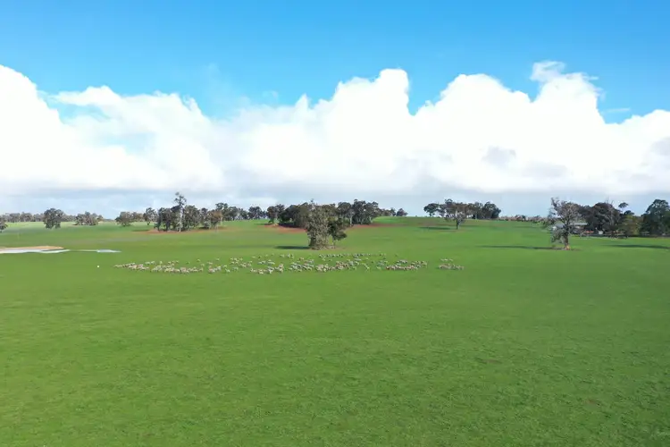 Main view of Homely rural property listing, 1565 TONE ROAD, Kojonup WA 6395