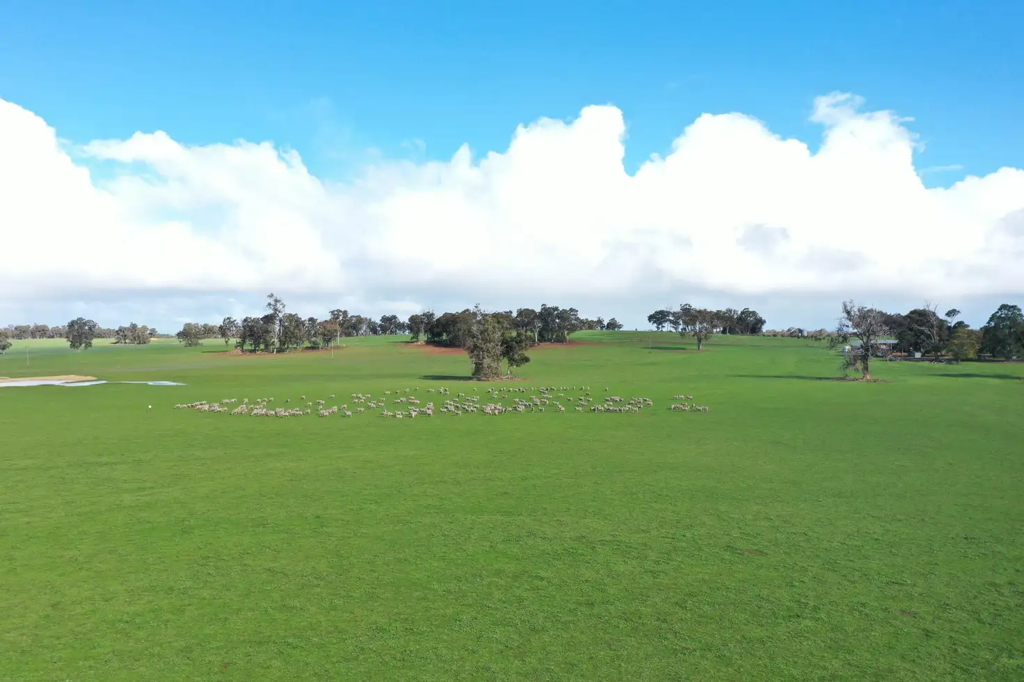 Main view of Homely rural property listing, 1565 TONE ROAD, Kojonup WA 6395