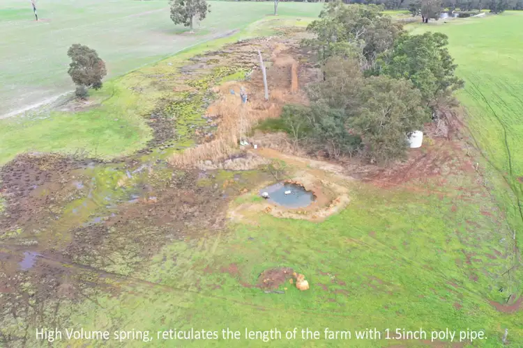 Fifth view of Homely rural property listing, 1565 TONE ROAD, Kojonup WA 6395
