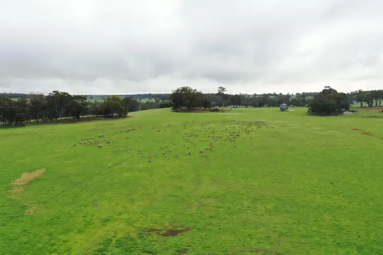 Sixth view of Homely rural property listing, 1565 TONE ROAD, Kojonup WA 6395