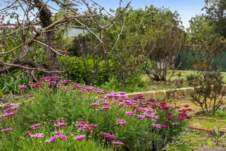 Second view of Homely house listing, 19 Fraser Street, Gingin WA 6503