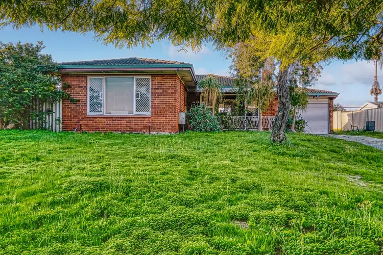 Fourth view of Homely house listing, 30 Clovelly Crescent, Lynwood WA 6147