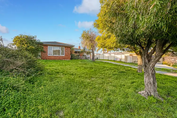 Fifth view of Homely house listing, 30 Clovelly Crescent, Lynwood WA 6147