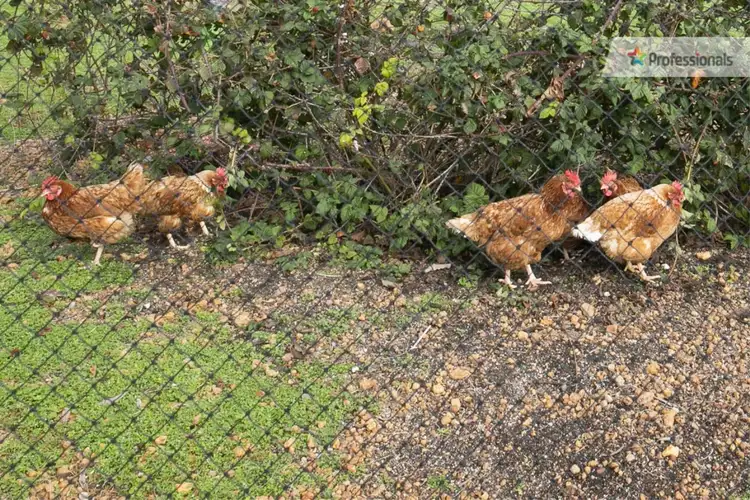 Third view of Homely house listing, 126 Turtledove Drive, Lower Chittering WA 6084