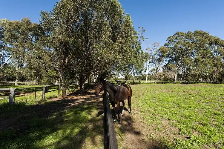 Fourth view of Homely house listing, 256 Haddrill Road, Baskerville WA 6056