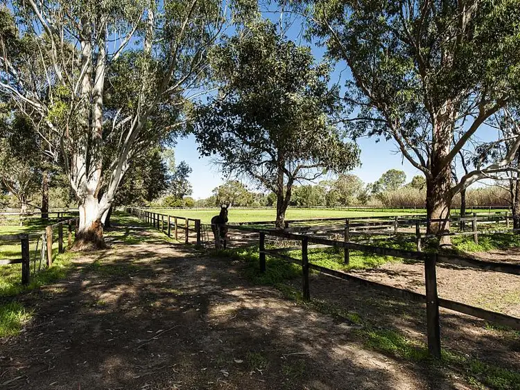 Seventh view of Homely house listing, 256 Haddrill Road, Baskerville WA 6056