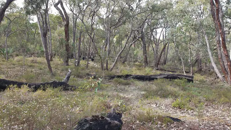 Sixth view of Homely land listing, 127 Forrest Hills Parade, Bindoon WA 6502