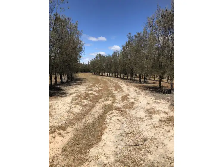 Seventh view of Homely rural property listing, 2431 Dowerin-Kalannie Road, Dowerin WA 6461