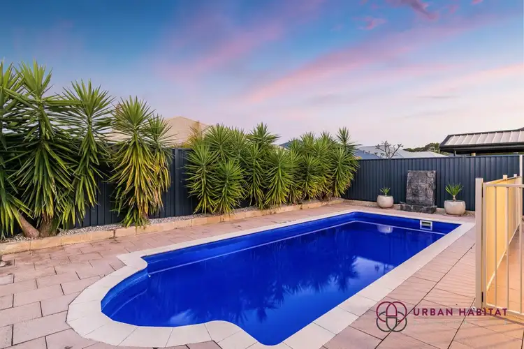 Fourth view of Homely house listing, 20 Callistemon Gardens, Baldivis WA 6171