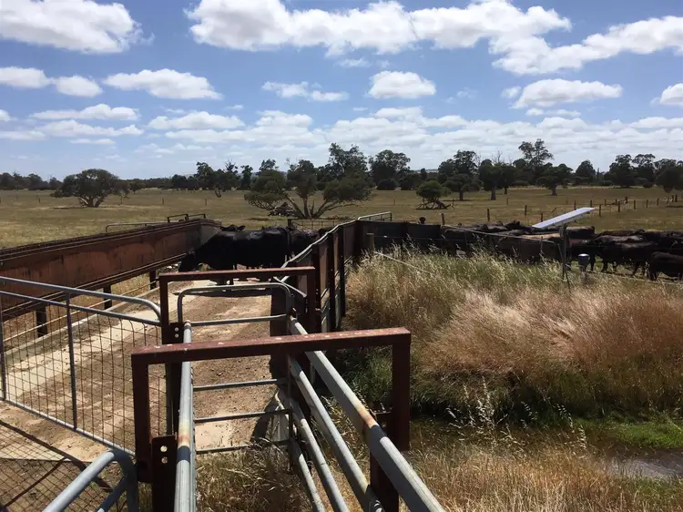 Lot 10 Railway Road, Waterloo WA 6228