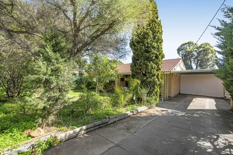 59 Lester Drive, Thornlie WA 6108