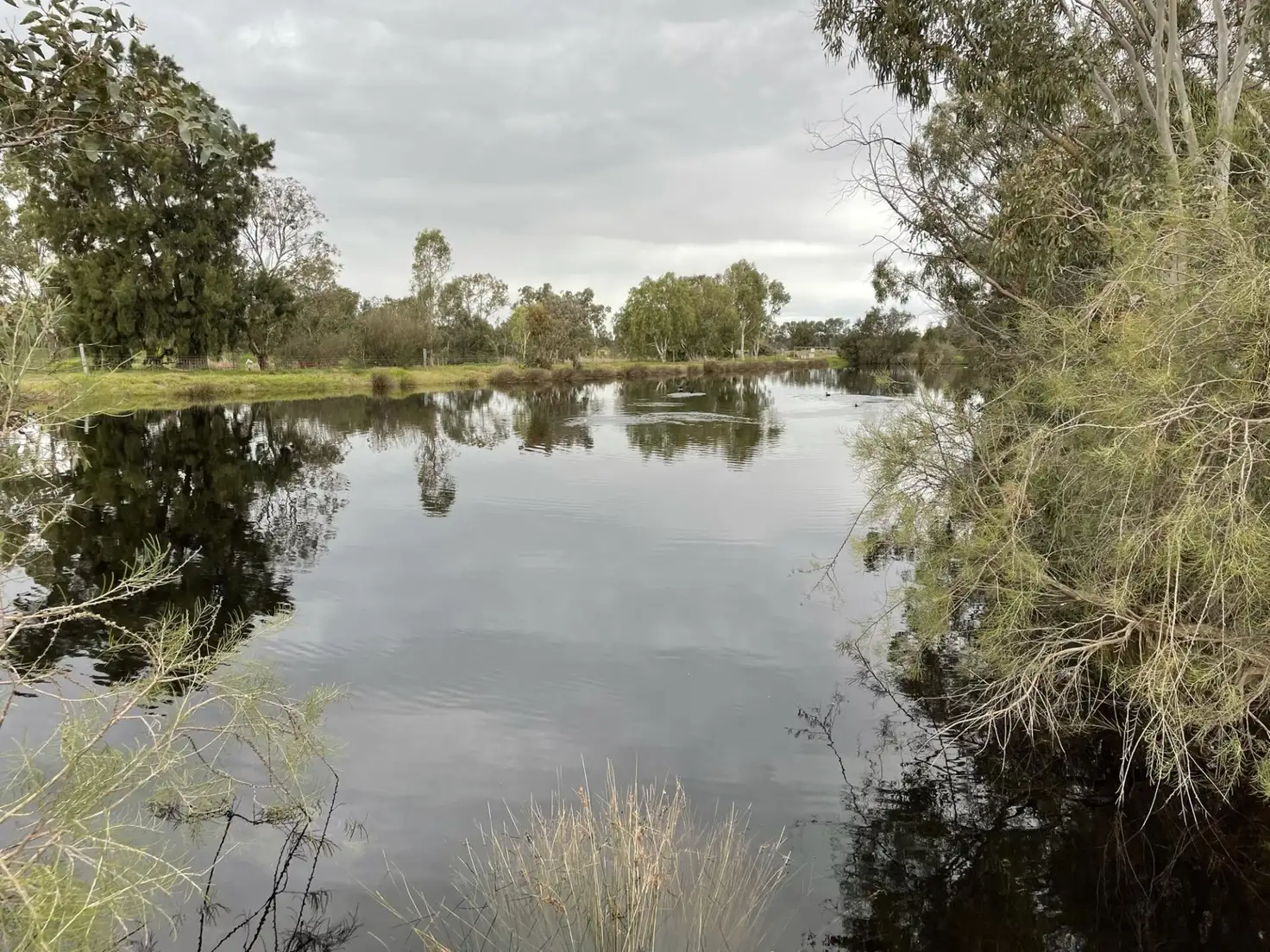 Main view of Homely land listing, 56 Pug Road, Baldivis WA 6171