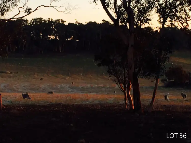 Seventh view of Homely land listing, Lot 36 Bates Road, Williams WA 6391