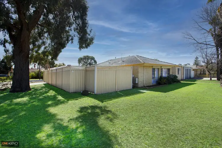 Main view of Homely house listing, 59 Osprey Circle, Ballajura WA 6066