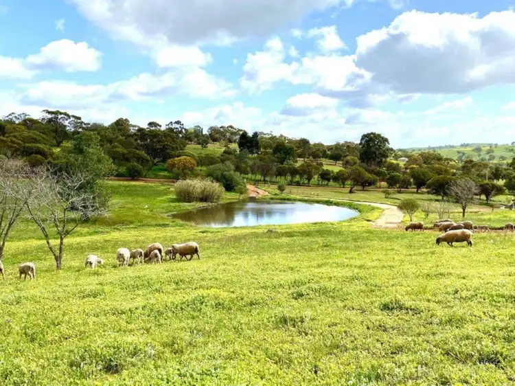 Sixth view of Homely house listing, 69 Dawson  road, Dumbarton WA 6566