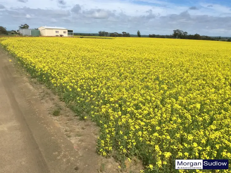 Main view of Homely rural property listing, LOT 612 NAMBLING NORTH ROAD, Dowerin WA 6461
