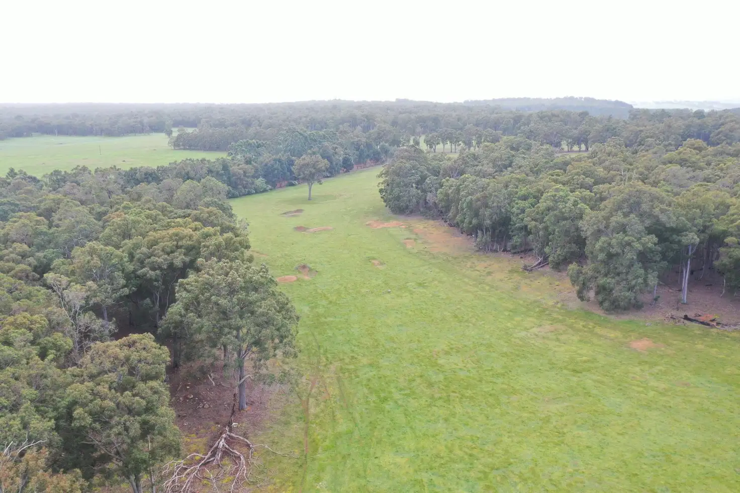 Main view of Homely rural property listing, Lot 3 Polina Road, Kangaroo Gully WA 6255
