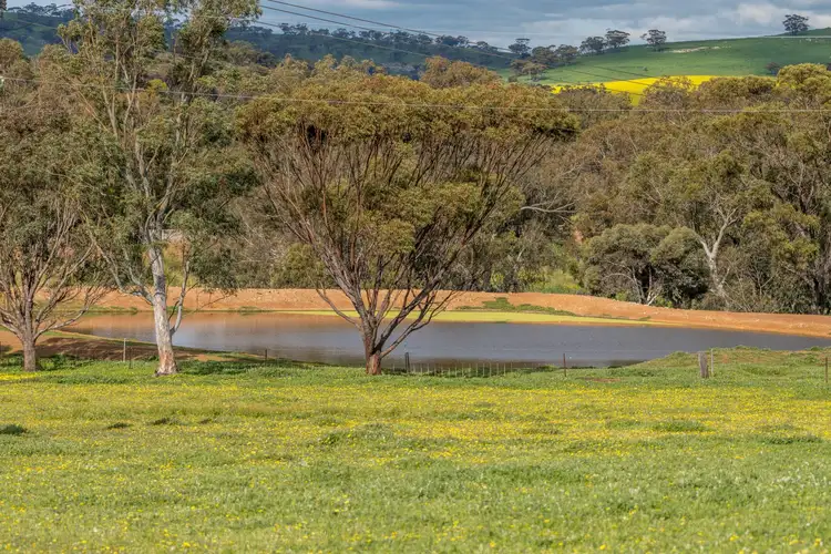 Sixth view of Homely land listing, 1004 Northam-Toodyay, Toodyay WA 6566