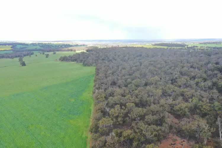 Second view of Homely rural property listing, Lot 3 Walshaw Road, Kulikup WA 6244