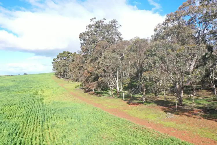 Fourth view of Homely rural property listing, Lot 3 Walshaw Road, Kulikup WA 6244