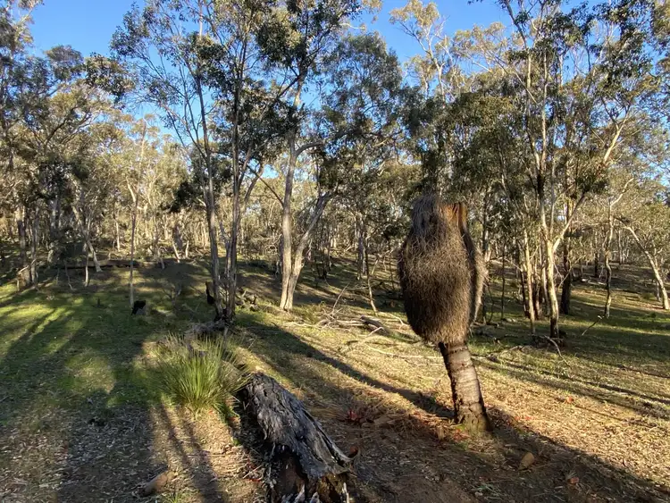 Sixth view of Homely rural property listing, Lot 3 Walshaw Road, Kulikup WA 6244