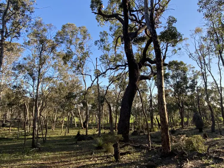 Seventh view of Homely rural property listing, Lot 3 Walshaw Road, Kulikup WA 6244
