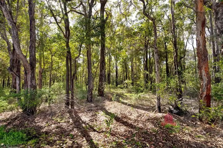 Second view of Homely house listing, 41 Elouera Street, Collie WA 6225