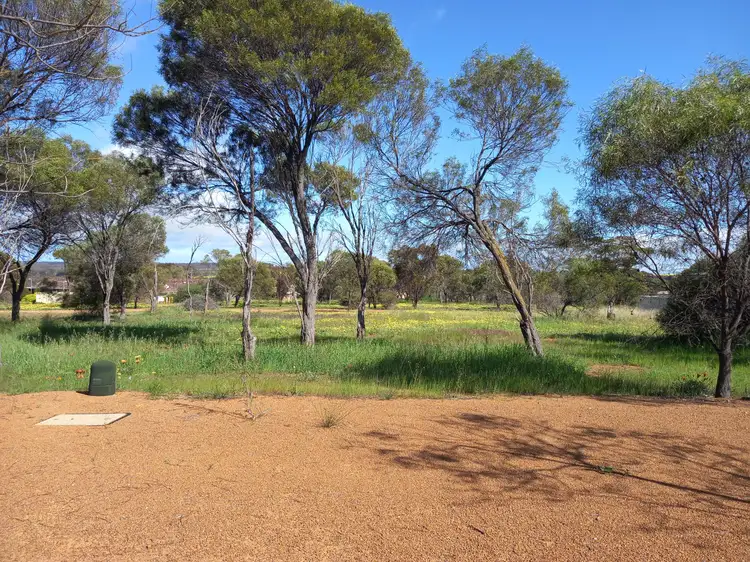 Main view of Homely land listing, 11 Spanney Street, Corrigin WA 6375