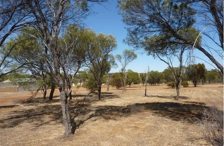 Third view of Homely land listing, 11 Spanney Street, Corrigin WA 6375