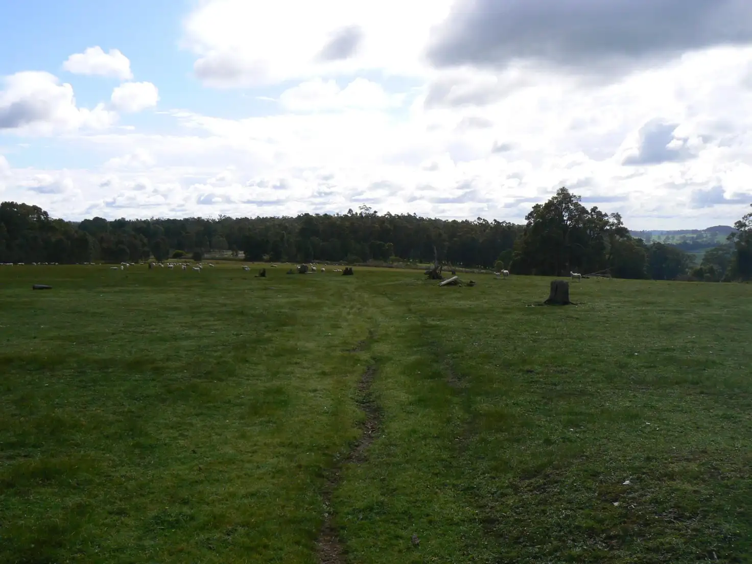 Main view of Homely rural property listing, 134 Brookhampton Road, Brookhampton WA 6239