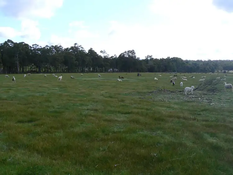 Third view of Homely rural property listing, 134 Brookhampton Road, Brookhampton WA 6239