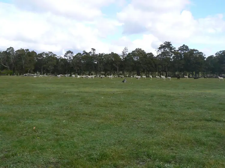 Fourth view of Homely rural property listing, 134 Brookhampton Road, Brookhampton WA 6239