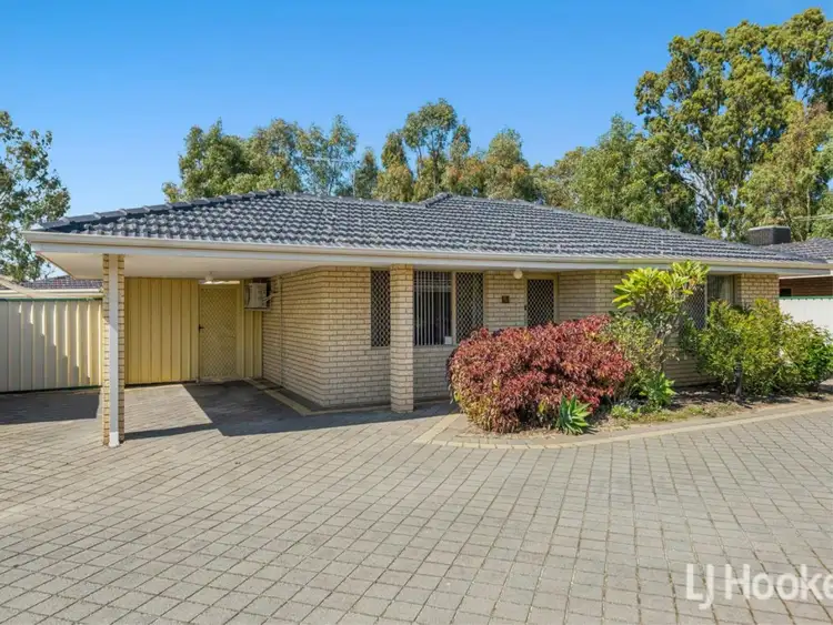Main view of Homely villa listing, 3/11 Firetail Place, Kenwick WA 6107