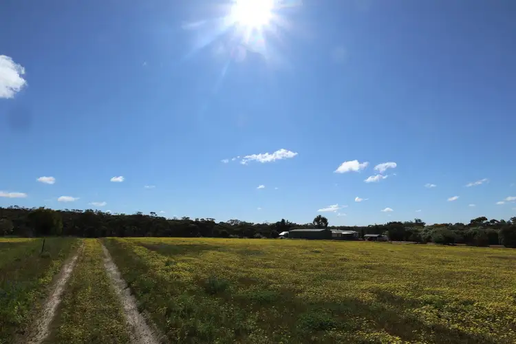 Sixth view of Homely land listing, 291 Graham Road, Narrogin WA 6312