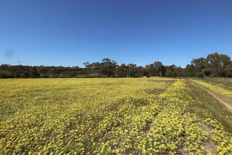 Seventh view of Homely land listing, 291 Graham Road, Narrogin WA 6312