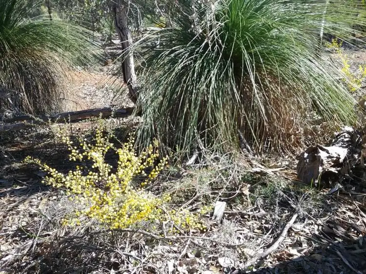 Second view of Homely land listing, 30 Laterite Way, Toodyay WA 6566