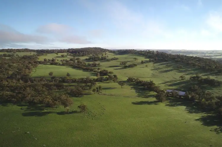 Second view of Homely rural property listing, 967 Northam-Toodyay, Toodyay WA 6566