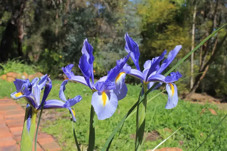 Sixth view of Homely house listing, 1010 Forrest Avenue, Mundaring WA 6073