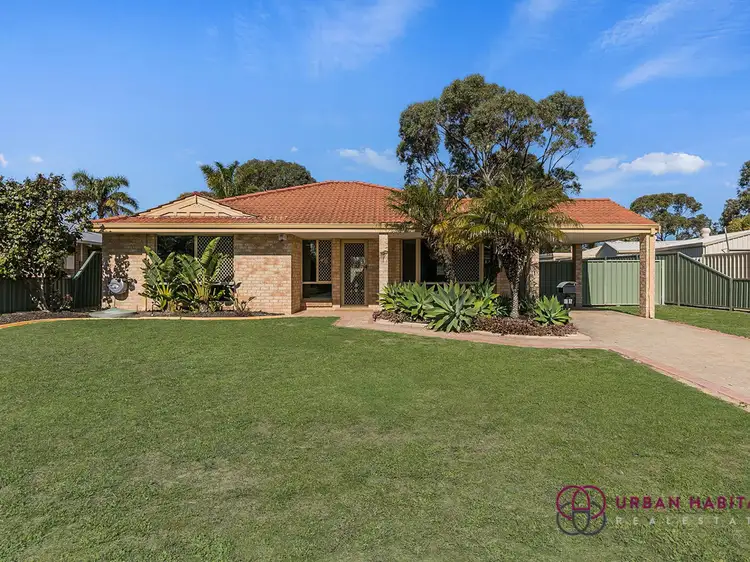 Main view of Homely house listing, 16 Glencoe Place, Cooloongup WA 6168