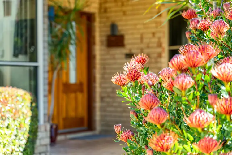 Fifth view of Homely house listing, 52 Bernedale Way, Duncraig WA 6023