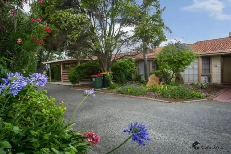 3/15 Roscorla Avenue, Yokine WA 6060