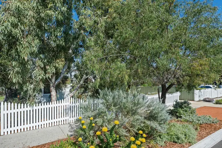 Sixth view of Homely house listing, 163 Planet Street, Carlisle WA 6101