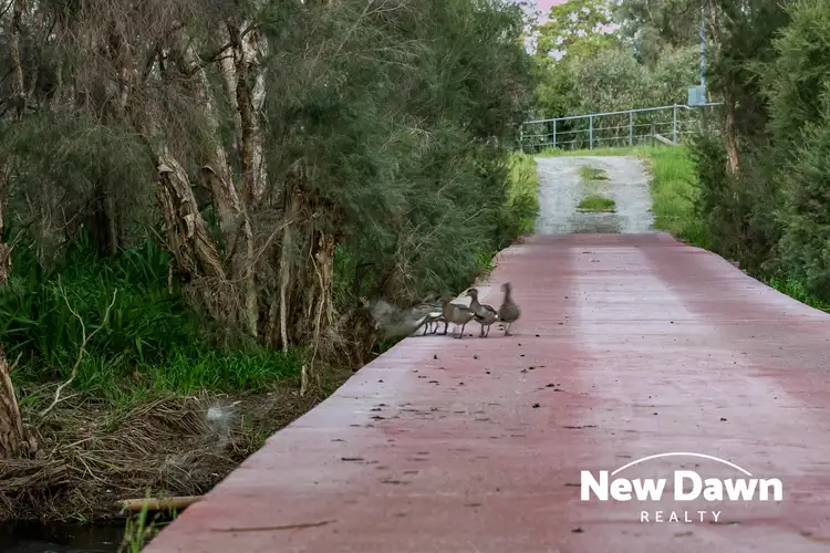 Sixth view of Homely rural property listing, 1849 Great Northern Highway, Bullsbrook WA 6084