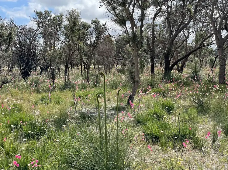 Second view of Homely land listing, 9 Cumming Rd, Oakford WA 6121
