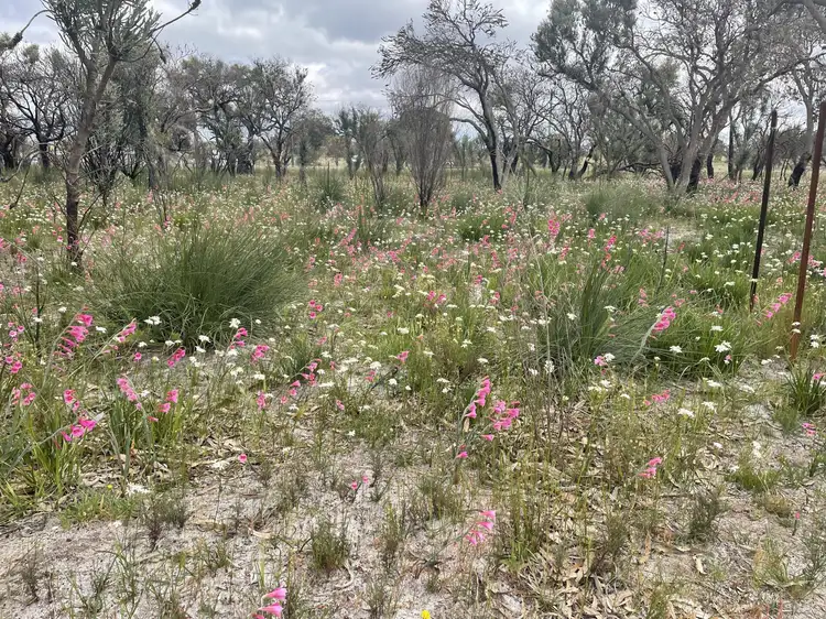 Fourth view of Homely land listing, 9 Cumming Rd, Oakford WA 6121